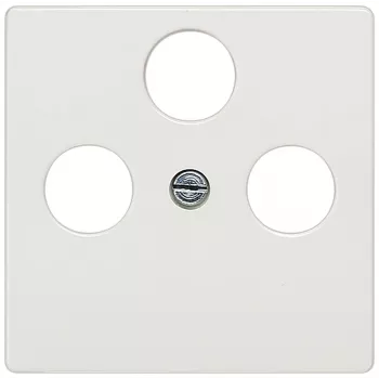 Siemens 5TG2548-2 płyta ścienna / osłona przełącznika