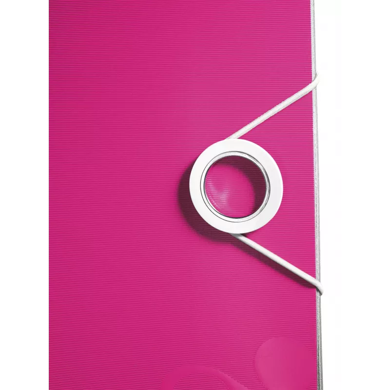 Leitz Segregator dźwigniowy Active PP WOW A4/80mm, A4, Polyfoam, różowy, 500 arkuszy, 80 g/m², 8.2 cm