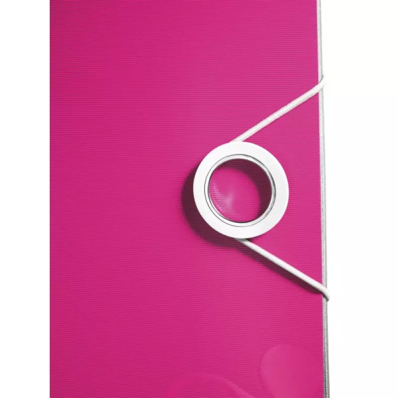 Leitz Segregator dźwigniowy Active PP WOW A4/65mm, A4, polipian, różowy, 350 arkuszy, 80 g/m², 6,5 cm