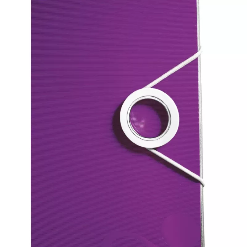 Leitz skoroszyt wpinany Active PP WOW A4/65mm, A4, polipian, fiolet, 350 arkuszy, 80 g/m², 6,5 cm
