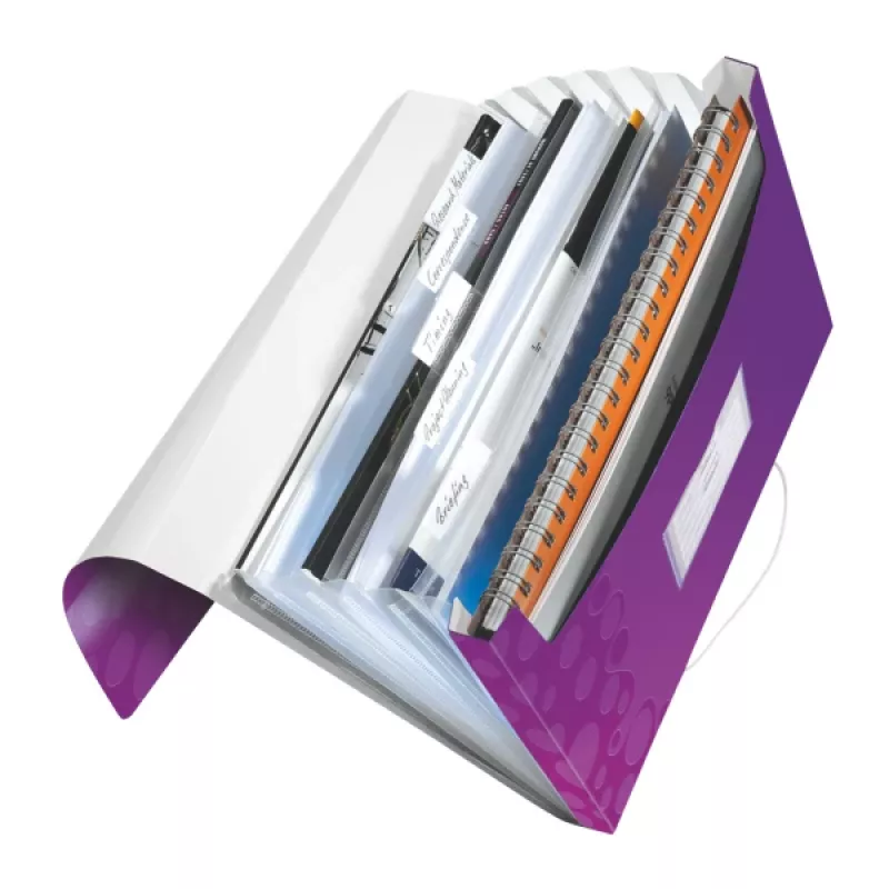Leitz Project File WOW PP, A4, polipropylen (PP), fioletowy, 200 arkuszy, 254 mm, 38 mm