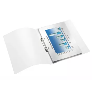 Leitz 42570023 segregator A4 Metaliczny, Różowy