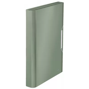 Leitz teczka harmonijkowa Style PP, A4, polipropylen (PP), zielony, 250 arkuszy, 80 g/m², 6 kieszeni