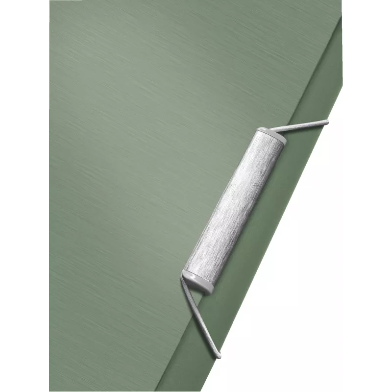 Leitz teczka harmonijkowa Style PP, A4, polipropylen (PP), zielony, 250 arkuszy, 80 g/m², 6 kieszeni