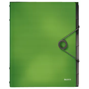 Leitz Divider Book Solid 6 zakładek, teczka z klapką, A4, polipropylen (PP), zielony, 200 arkuszy, 80 g/m²