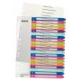 Esselte 1245-00-00 Indeks numeryczny Polipropylen (PP) Wielokolorowy