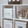 Leitz Click & Store WOW Cube Medium Storage Box