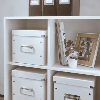 Leitz Click & Store WOW Cube Medium Storage Box