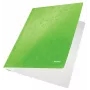 Leitz płaski File Card/Board WOW A4, konwencjonalna teczka na dokumenty, A4, karton, zielony, portret, 250 arkuszy