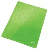 Leitz płaski File Card/Board WOW A4, konwencjonalna teczka na dokumenty, A4, karton, zielony, portret, 250 arkuszy
