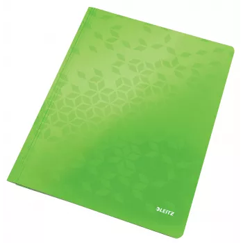 Leitz płaski File Card/Board WOW A4, konwencjonalna teczka na dokumenty, A4, karton, zielony, portret, 250 arkuszy