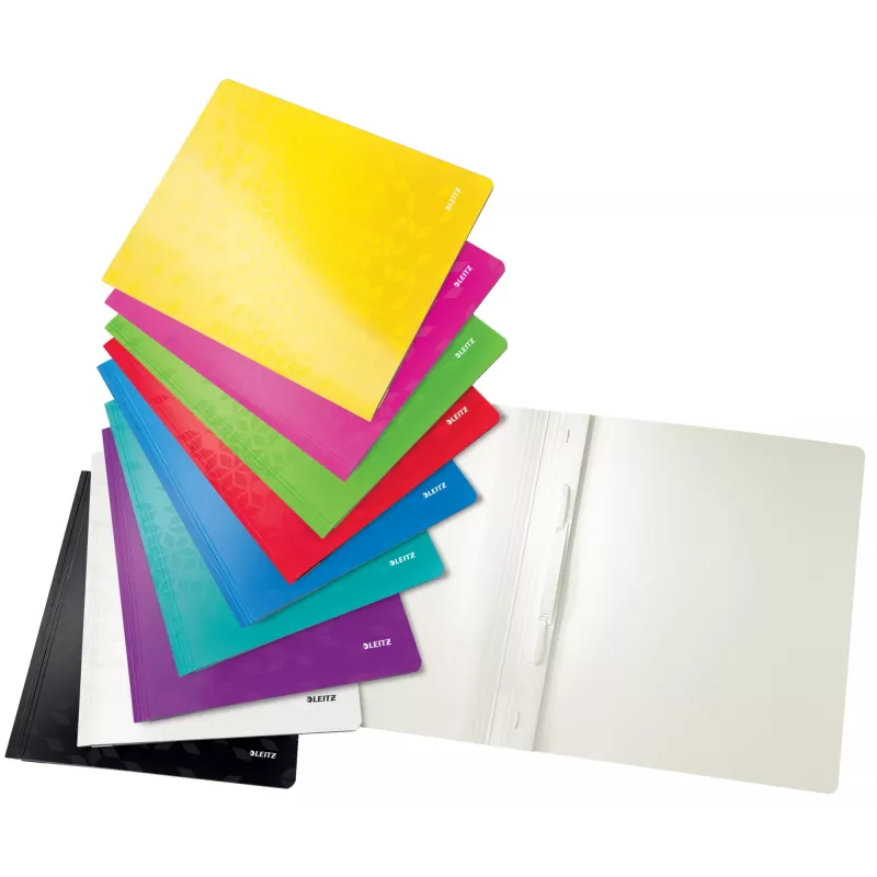 Leitz płaski File Card/Board WOW A4, konwencjonalna teczka na dokumenty, A4, karton, zielony, portret, 250 arkuszy