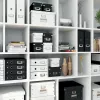 Leitz Click & Store WOW Large Storage Box, zielony, karton, 369 mm, 482 mm, 200 mm
