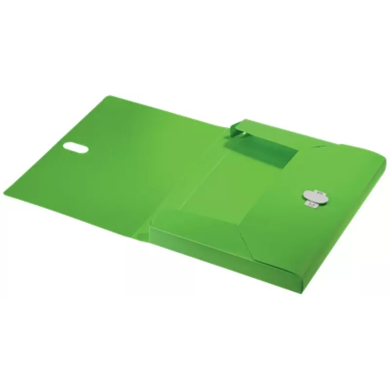 Leitz Recycle Box File, konwencjonalna teczka na dokumenty, A4, Polipropylen (PP), Zielony, Poziomo/Pionowo, 250 arkuszy