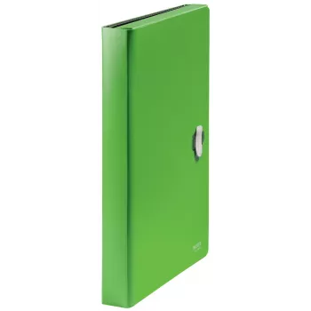 Leitz Recycle Expanding Concertina File, konwencjonalna teczka, A4, Polipropylen (PP), Zielony, Pozioma, 250 arkuszy