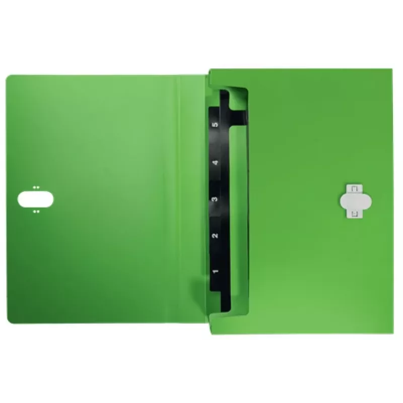Leitz Recycle Expanding Concertina File, konwencjonalna teczka, A4, Polipropylen (PP), Zielony, Pozioma, 250 arkuszy