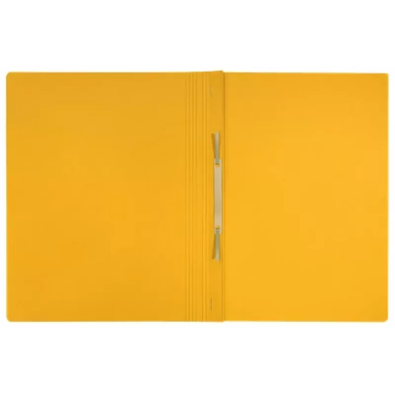 Leitz Recycle Card płaski File, konwencjonalna teczka na dokumenty, A4, karton, żółty, pozioma/pionowa, 250 arkuszy