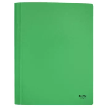 Leitz Recycle Card płaski File, konwencjonalna teczka na dokumenty, A4, karton, zielony, pozioma/pionowa, 250 arkuszy