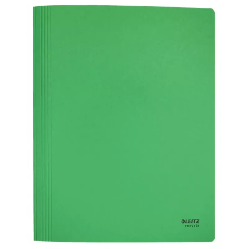 Leitz Recycle Card płaski File, konwencjonalna teczka na dokumenty, A4, karton, zielony, pozioma/pionowa, 250 arkuszy
