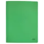 Leitz Recycle Card płaski File, konwencjonalna teczka na dokumenty, A4, karton, zielony, pozioma/pionowa, 250 arkuszy