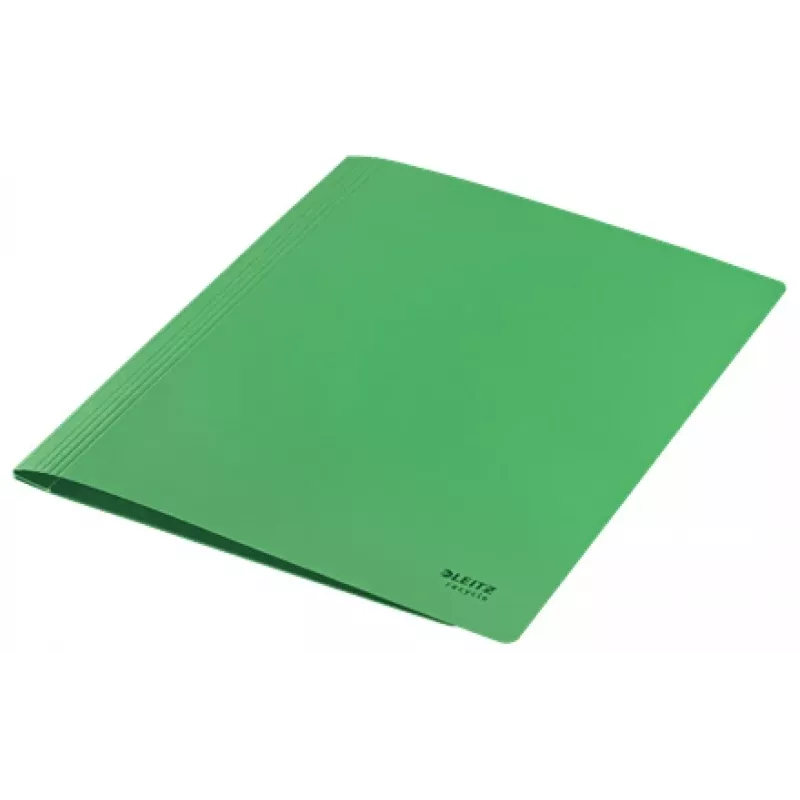 Leitz Recycle Card płaski File, konwencjonalna teczka na dokumenty, A4, karton, zielony, pozioma/pionowa, 250 arkuszy