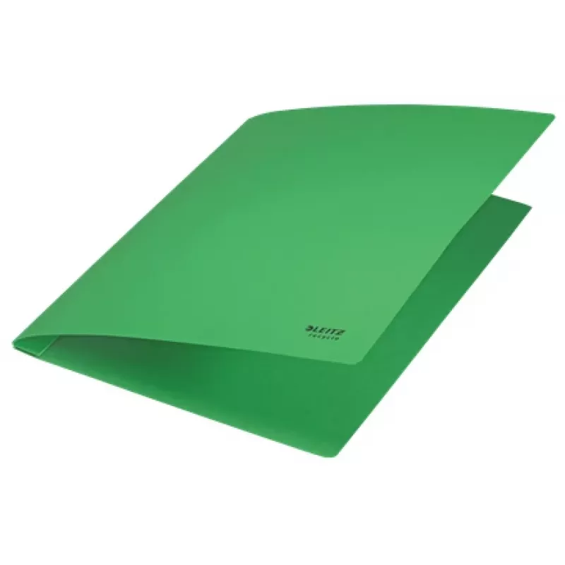 Leitz Recycle Card płaski File, konwencjonalna teczka na dokumenty, A4, karton, zielony, pozioma/pionowa, 250 arkuszy