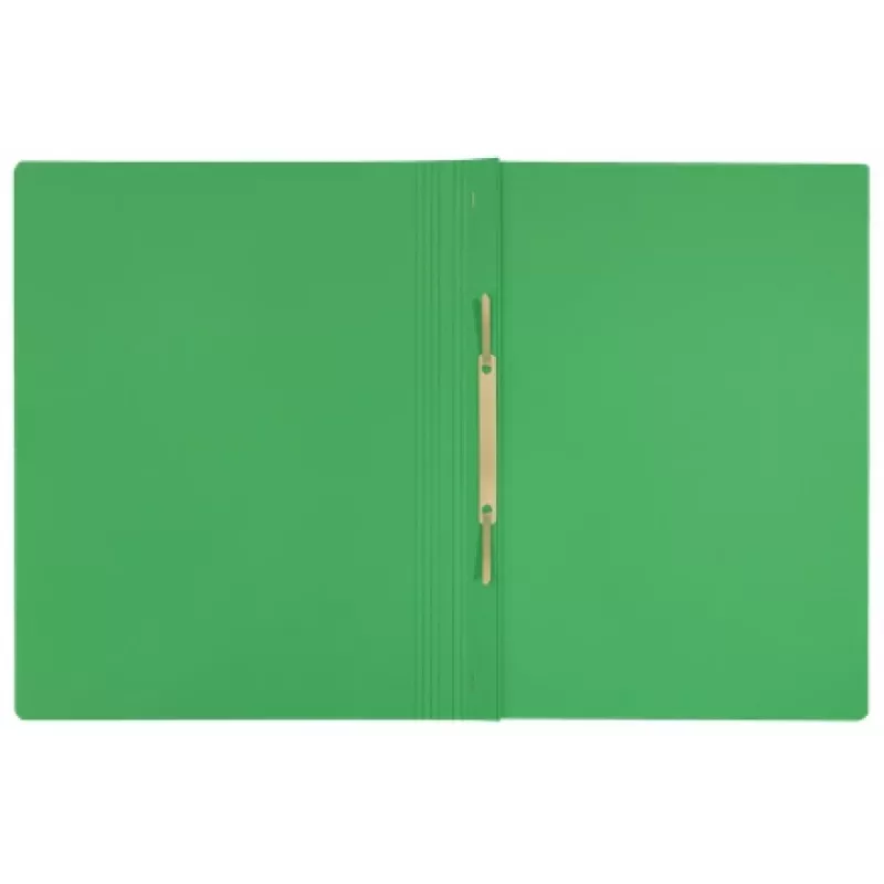 Leitz Recycle Card płaski File, konwencjonalna teczka na dokumenty, A4, karton, zielony, pozioma/pionowa, 250 arkuszy