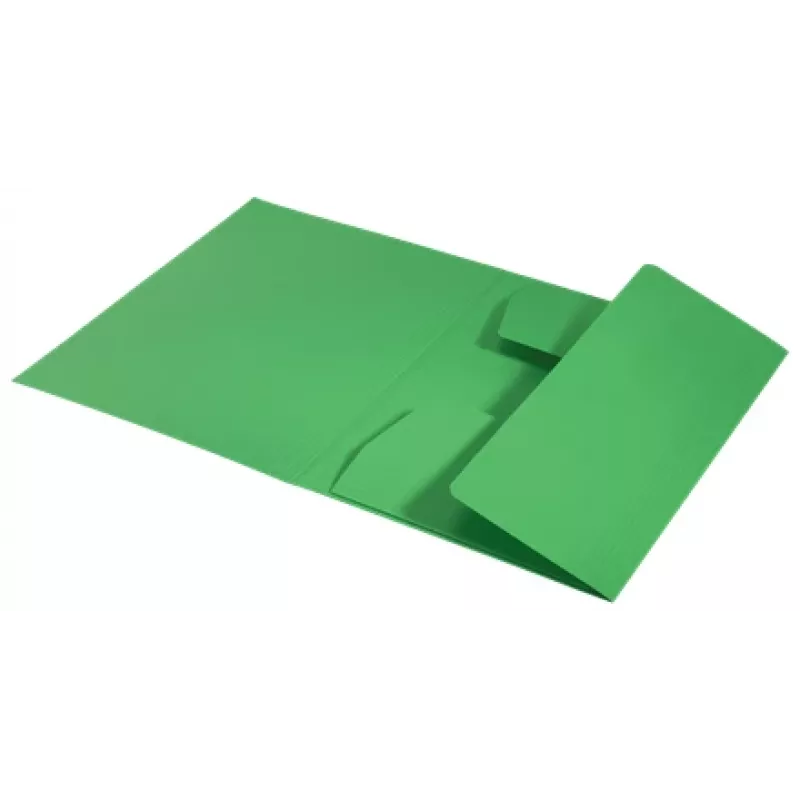 Leitz Recycle Teczka kartonowa z 3 skrzydełkami, teczka konwencjonalna, A4, karton, zielona, pozioma/pionowa, 250 arkuszy