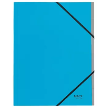Leitz Recycle Card Divider Book, Signature folder, A4, Carton, niebieski, 430 g/m², Elastic band