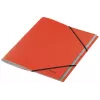 Leitz Recycle Przekładki kartonowe, A4, Karton, Czerwony, 430 g/m², Neutralny dla klimatu, 247 mm