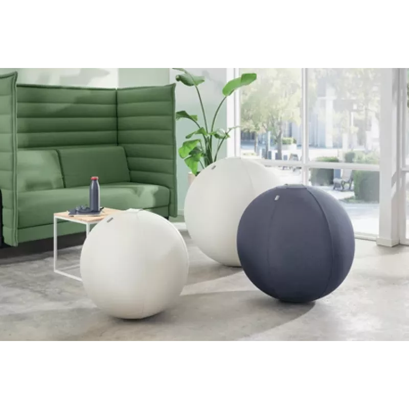 Leitz Ergo Active piłka do siedzenia z funkcją stopera 65cm, Szary, Pełnowymiarowa, 150 kg, TÜV, 65 cm, 2.87 kg