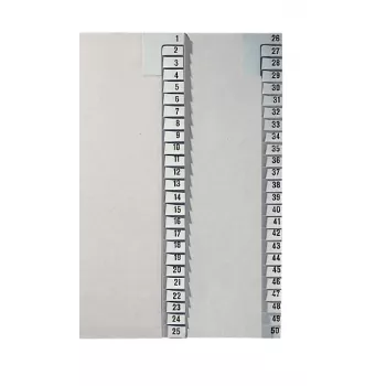 Leitz 13810085 tab index Numeric tab index Papier Szary