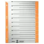 Leitz 16520045 indeks numeryczny Indeks numeryczny Karton Szary, Pomarańczowy