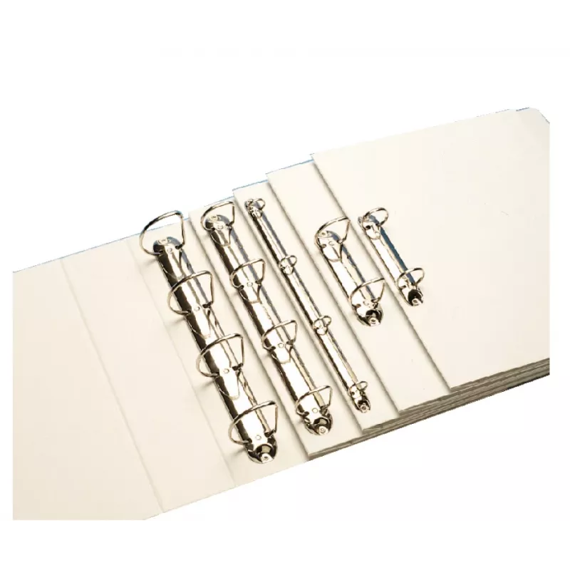 Leitz 42840001 skoroszyt A4 biały