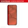 Displex Ochrona ekranu + Etui dla Google Pixel 10 Pro XL, ekologiczna ramka montażowa, odporny na zarysowania