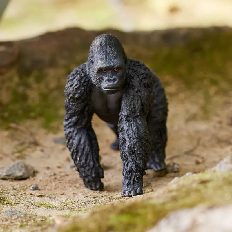 schleich WILD LIFE Goryl, samiec, 3 lat(a), Dżungla, Dzikie zwierzęta / zabawki przygodowe, Wielokolorowy, Plastik