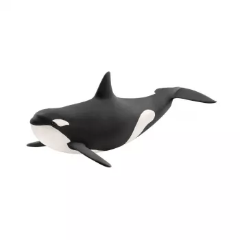 schleich WILD LIFE Orka, 3 lata, Ice & Ocean, Dzikie zwierzęta / zabawki przygodowe, Wielokolorowy, Tworzywo sztuczne, 1 szt.