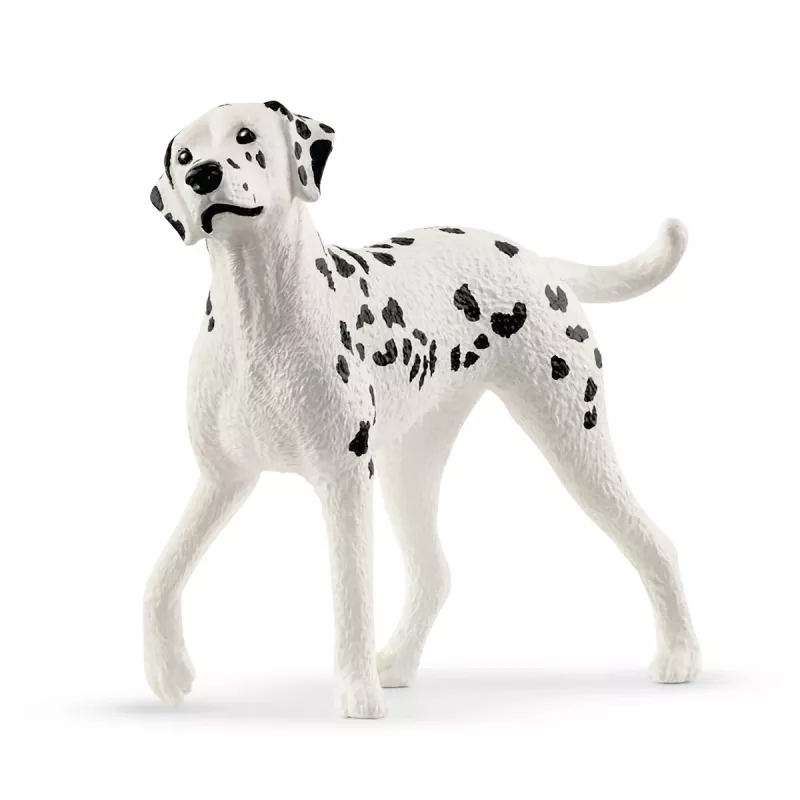 schleich Arena jeździecka Peppertree, Akcja/Przygoda, Turniej jeździecki, Konie, 5 lat(a), Wielokolorowy, Plastik