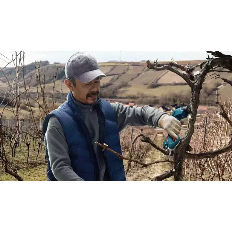 Bosch Pro Pruner Professional bezprzewodowe nożyce do trawy 2,5 cm 12 V litowo-jonowe (Li-Ion) czarno-niebieskie