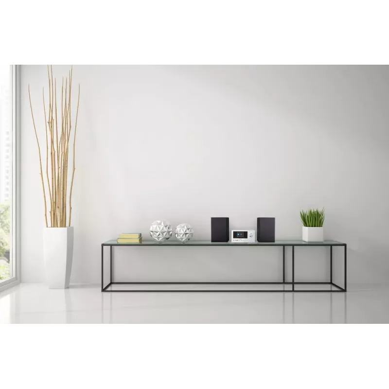 MEDION LIFE P85003 Domowy system audio micro 30 W Czarny, Srebrny