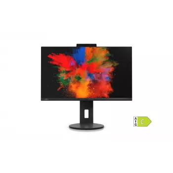 Fujitsu Displays P2410 TS CAM, 60,5 cm (23,8 cala), 1920 x 1080 pikseli, Full HD, LED, 5 ms, czarny