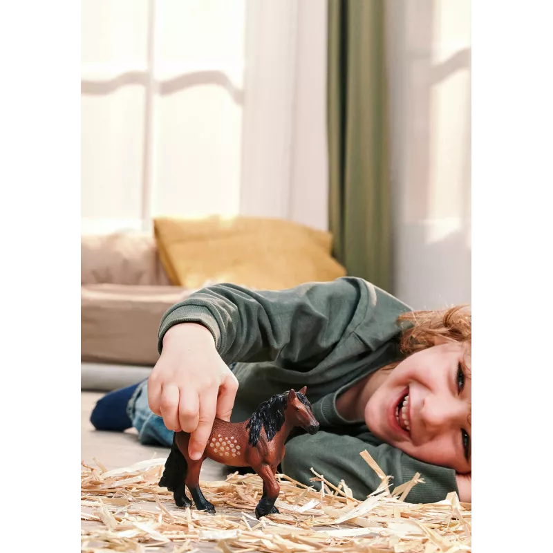 schleich FARM WORLD 14927 figurka zabawkowa dla dzieci