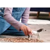 schleich BAYALA 14916 - figurka zabawkowa dla dzieci