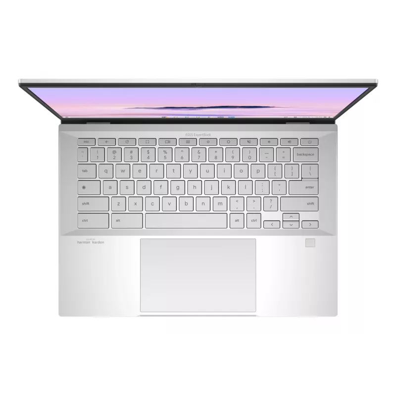 ASUS Chromebook Plus Enterprise CB54 CB5403CMA-QM0916 Intel Core Ultra 7 155U 35.6 cm (14 cal) Dotykowy WQXGA 16 GB LPDDR5x-SDRAM 256 GB SSD Wi-Fi 6E (802.11ax) ChromeOS US International srebrny