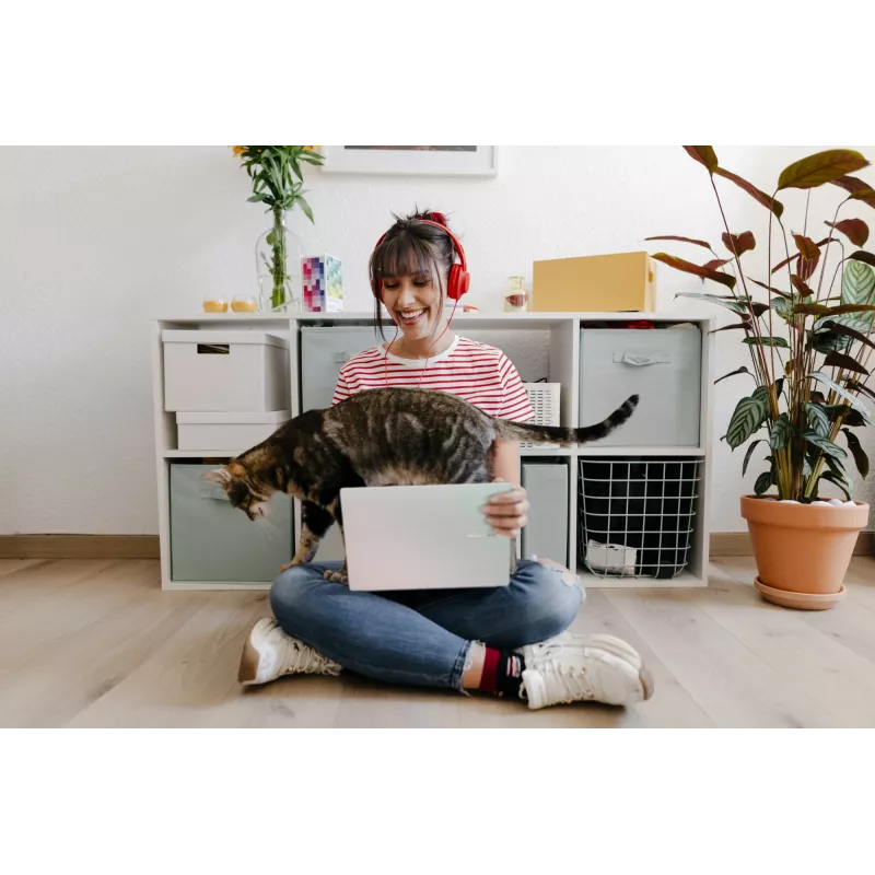 ASUS Vivobook 14 M1407GA-LY012W Copilot+ PC AMD Ryzen™ AI 7 445 Laptop 35.6 cm (14 cali) WUXGA 16 GB DDR5-SDRAM 512 GB SSD Wi-Fi 6 (802.11ax) Windows 11 Home Holenderski Srebrny