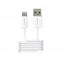 Ładowarka do urządzeń mobilnych 2-Power 2PUC1M02W Biała