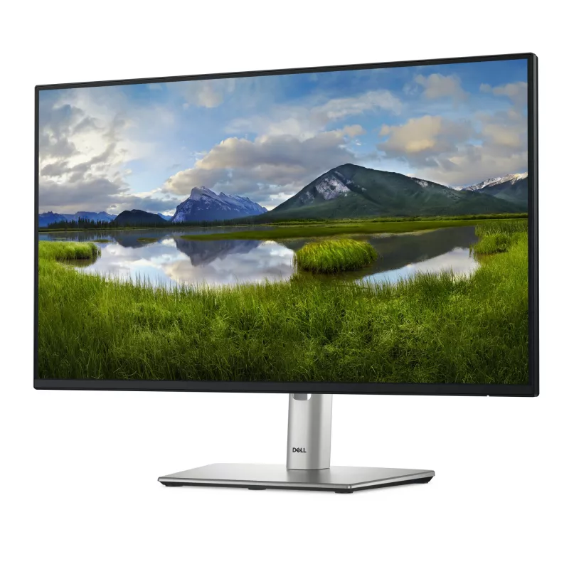 Monitor DELL Pro Plus P2425HE 60,5 cm (23,8 cala) 1920 x 1080 pikseli Full HD LCD czarny