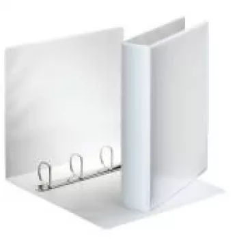Segregator Esselte Panorama FSC® A4 4DR/40 mm, A4, pierścienie w kształcie D, tworzywo sztuczne, biały, 390 arkuszy, 4 cm