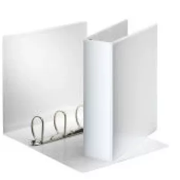 Segregator Esselte Panorama FSC® A4 4DR/60 mm, A4, pierścienie D, tworzywo sztuczne, biały, 650 arkuszy, 6 cm