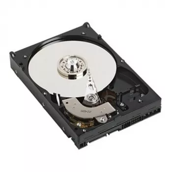 Dyski twarde wewnętrzne DELL GPP3G 1 TB 7200 RPM 3.5 cala NL-SAS